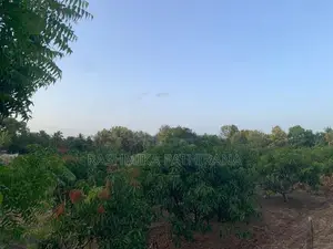 Land for Sale - Anuradhapura