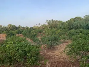 Land for Sale - Anuradhapura