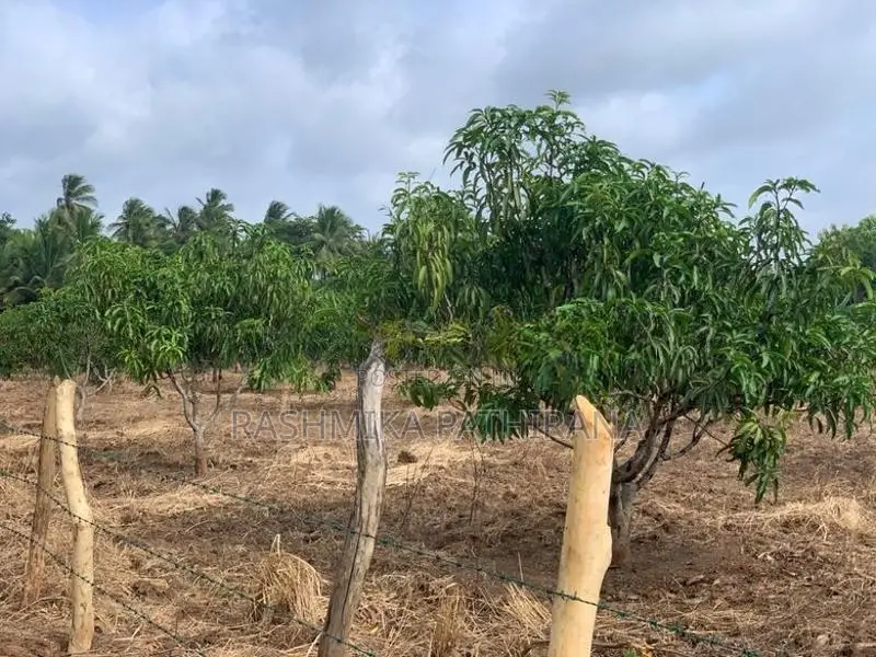 Land for Sale - Anuradhapura
