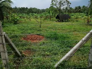 Land for Sale in Godigamuwa Negombo