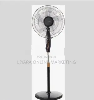 ION Stand Fan..