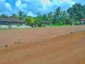 Gampaha උඩුගම්පල නගරයෙන් වටිනා බිම් කොටස් කිහිපයක්