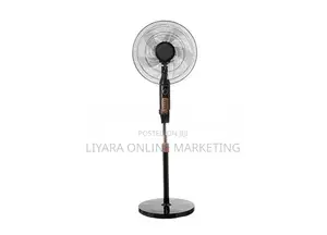 ION Stand Fan..