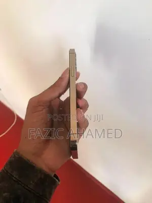 Apple iPhone 12 Pro (Used)