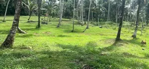 Land Sale Anguruwathota