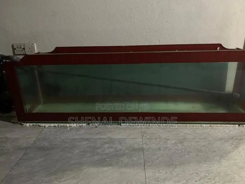 Fish Glass Tank
