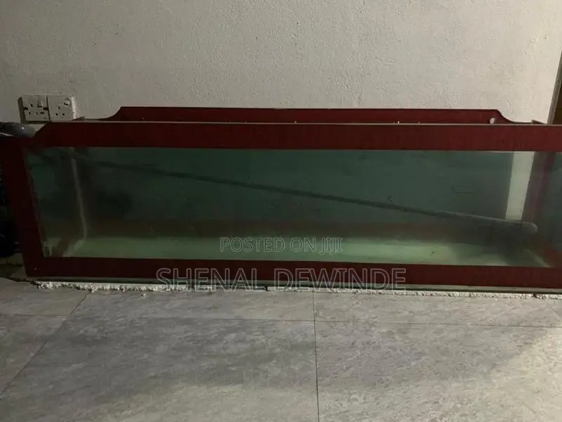 Fish Glass Tank