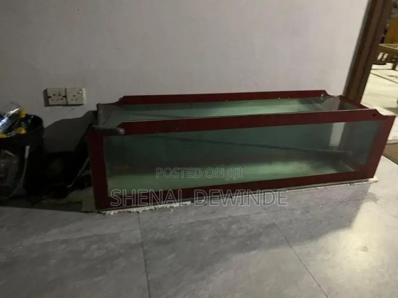 Fish Glass Tank