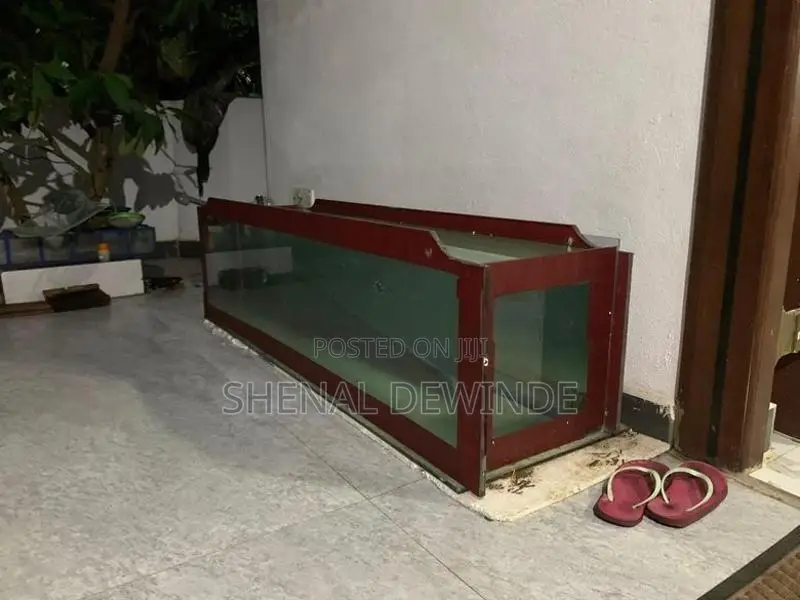 Fish Glass Tank