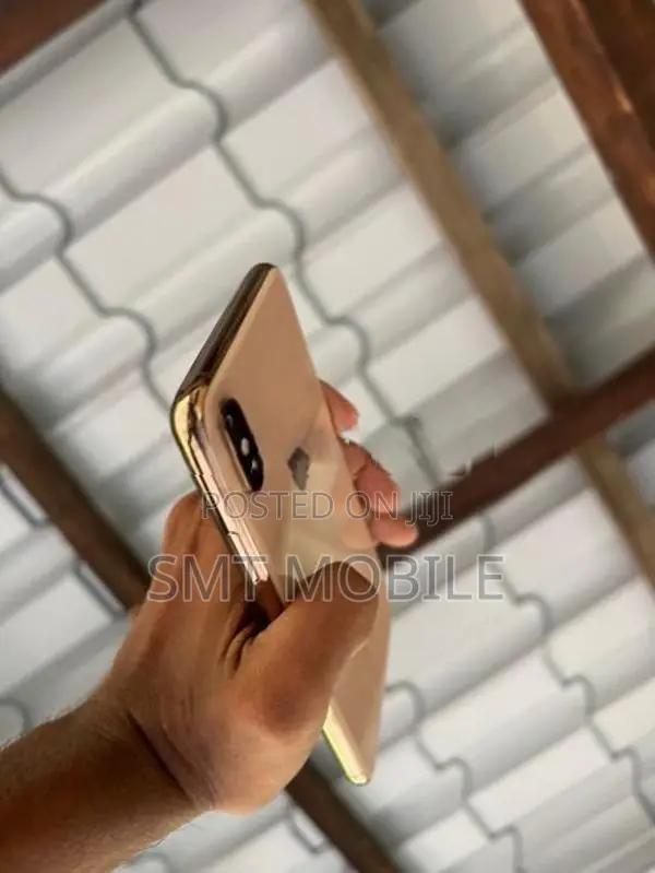 Apple iPhone XS Max (Used)