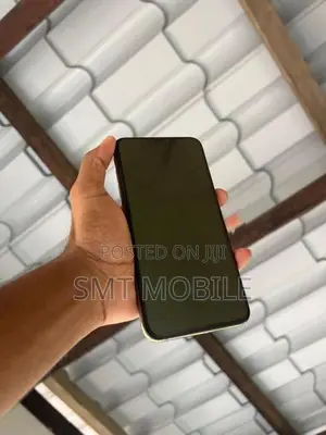 Apple iPhone XS Max (Used)