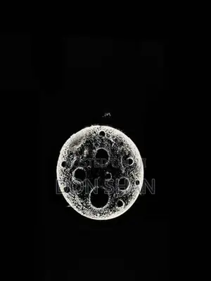 3D Moon Wall Light