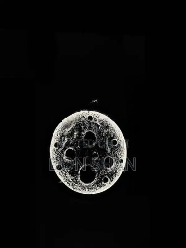 3D Moon Wall Light