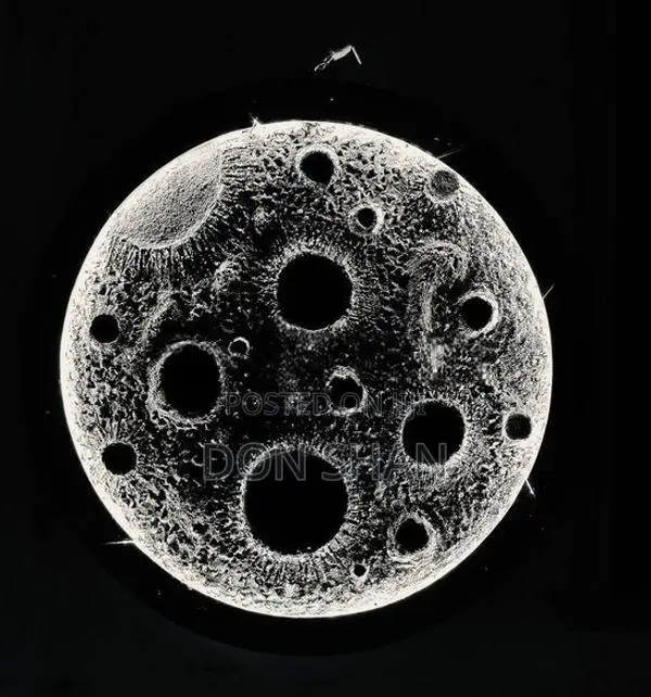 3D Moon Wall Light