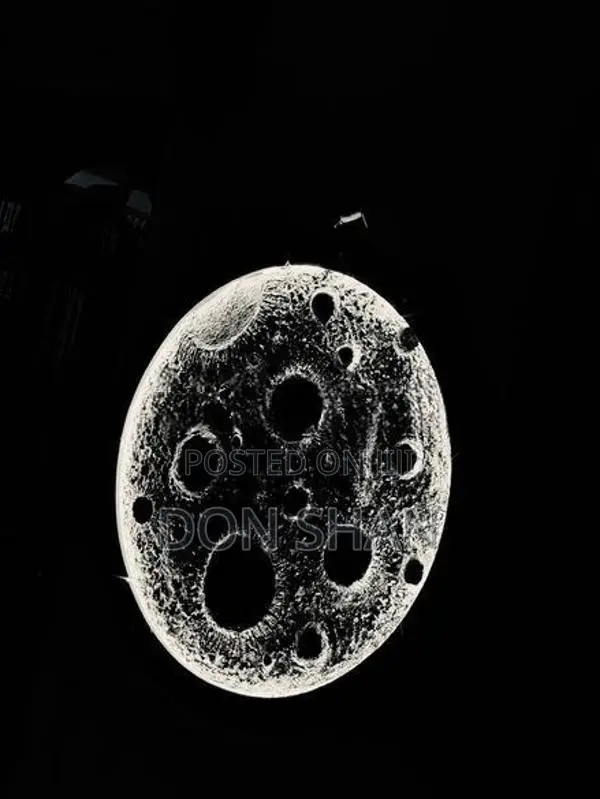 3D Moon Wall Light