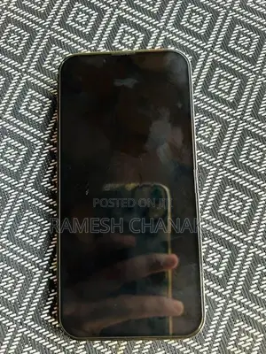 Apple iPhone 13 Pro (Used)