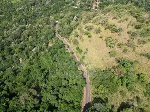 Valuable Land In Ella