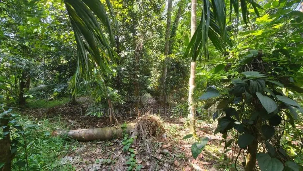 Land for Sale in Kandy Gam Udawa