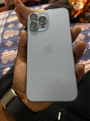 Apple iPhone 13 Pro Max (Used)