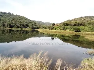 Lake Front Land for Sale in Digana