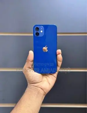 Apple iPhone 12 (Used)