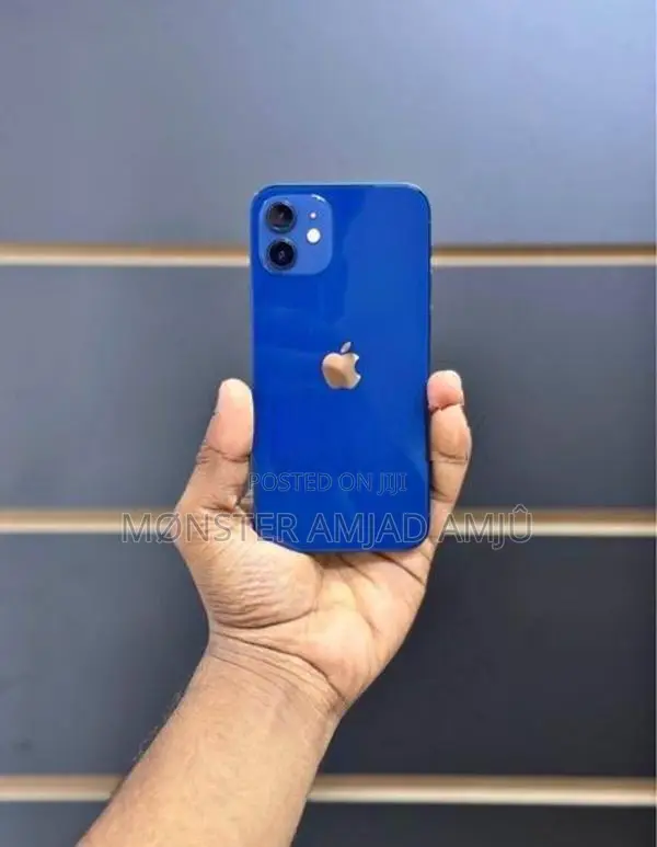 Apple iPhone 12 (Used)