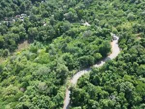 Beautiful Land for Sale Near the Rawana Fall