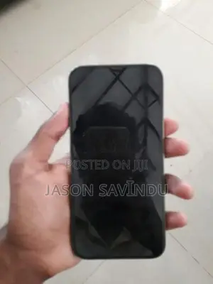 Apple iPhone 12 Pro Max (Used)