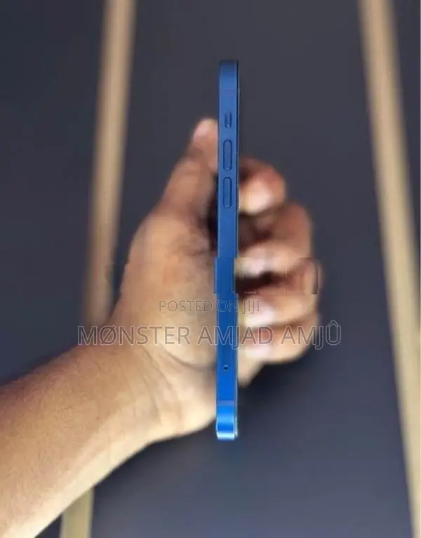Apple iPhone 12 (Used)