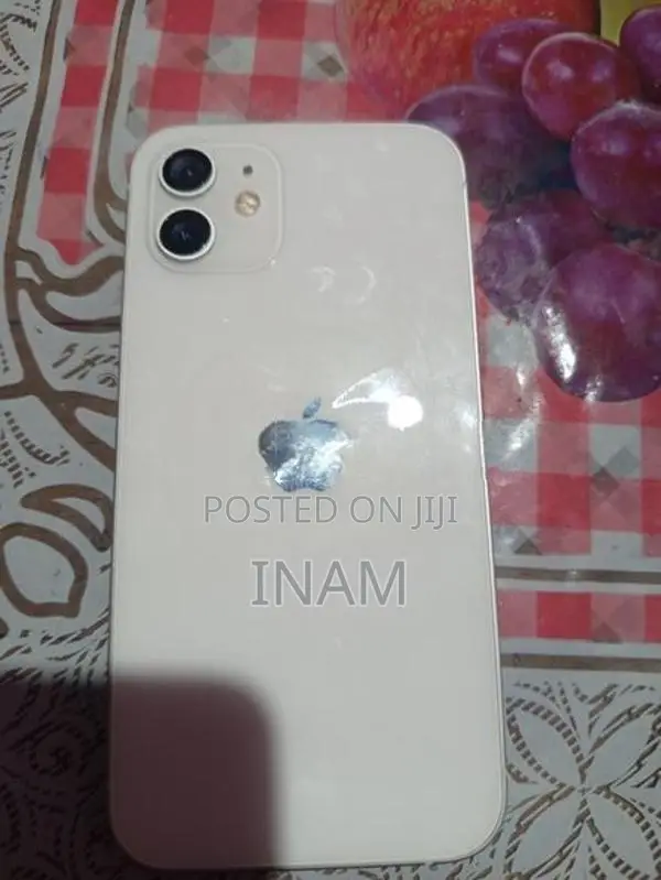 Apple iPhone 12 (Used)