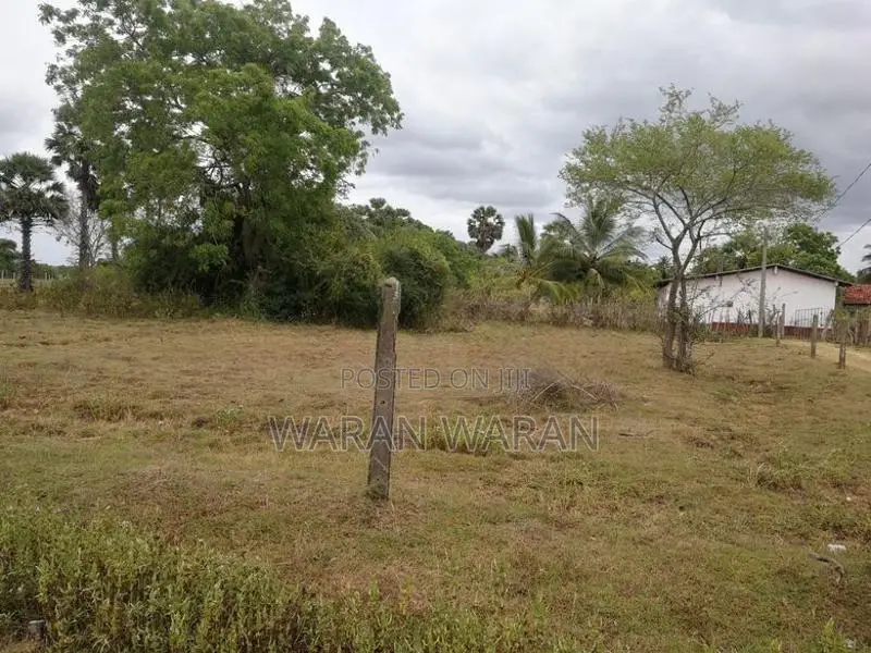 Land for Sale in Nelukkulam Vavuniya