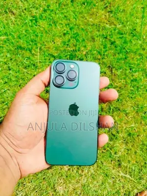 Apple iPhone 13 Pro (Used)