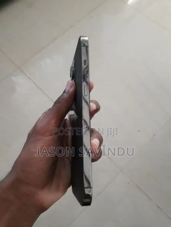 Apple iPhone 12 Pro Max (Used)