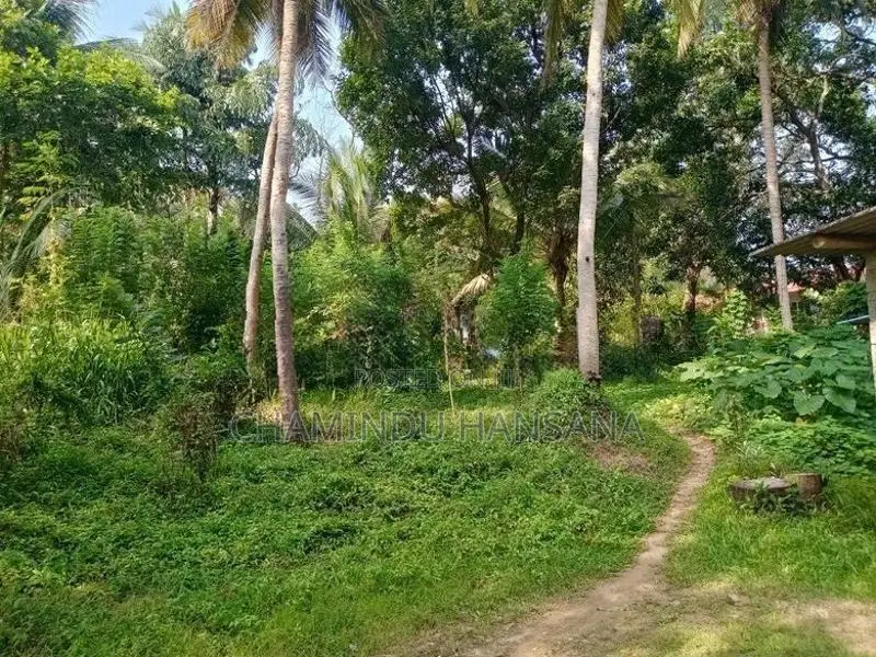 Land with House for Sale - Badulla
