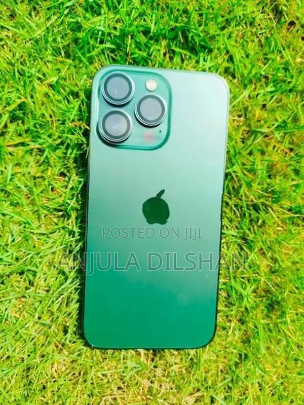 Apple iPhone 13 Pro (Used)