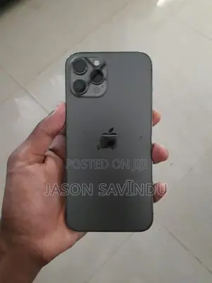Apple iPhone 12 Pro Max (Used)