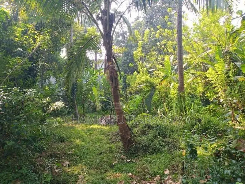 Land with House for Sale - Badulla