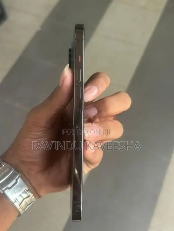 Apple iPhone 13 Pro Max 128GB (Used)