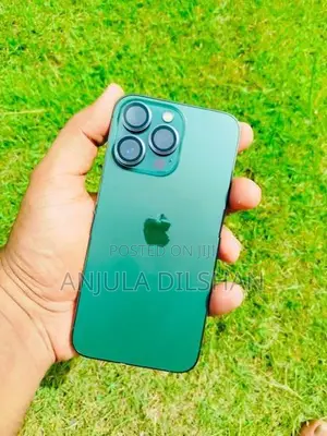 Apple iPhone 13 Pro (Used)