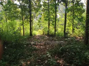 Land with House for Sale - Badulla