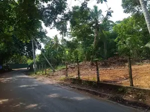 Land අලුත්වල මීඩියාගොඩ පුධාන පාරට මුහුණලා