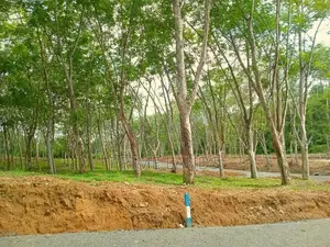 Land අහංගම සංචාරක කලාපයට ආසන්නව