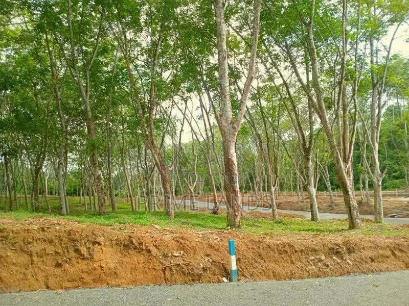 Land අහංගම සංචාරක කලාපයට ආසන්නව