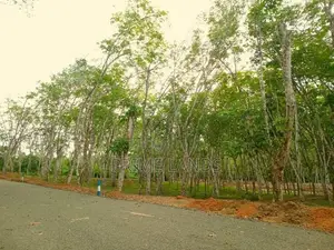Land අහංගම සංචාරක කලාපයට ආසන්නව