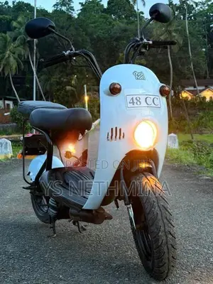 Suzuki Choi Nori 2024