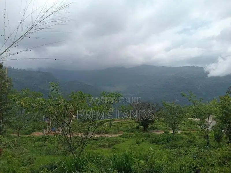 Land for Sale Pundaluoya
