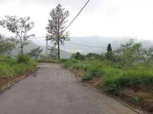 Land for Sale Nuwara Eliya