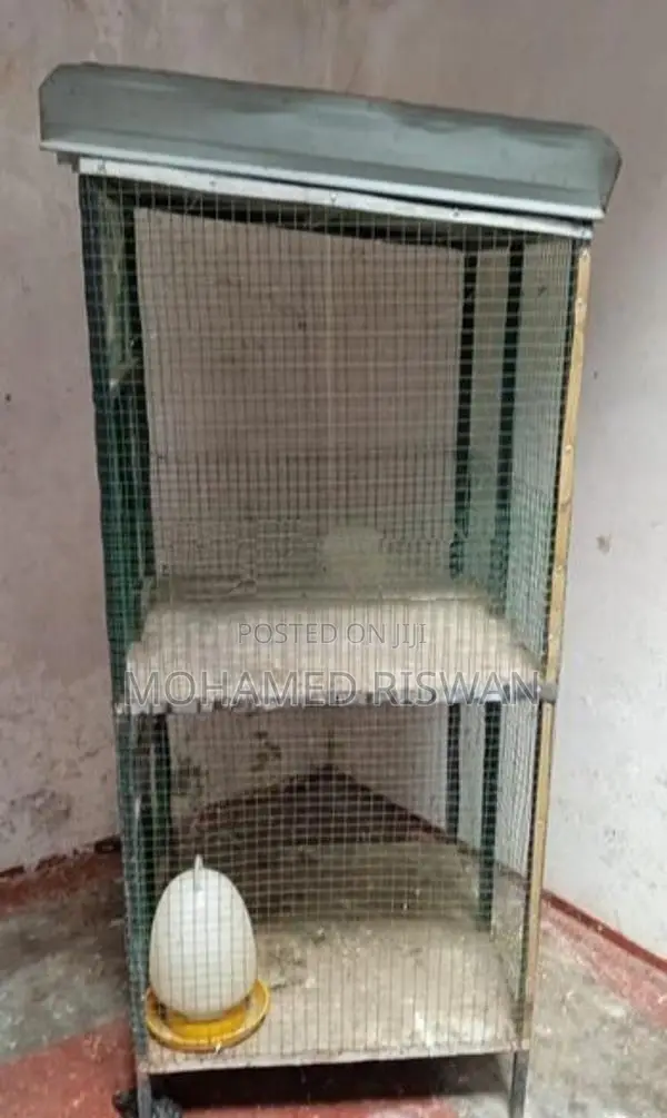 Bird Cage