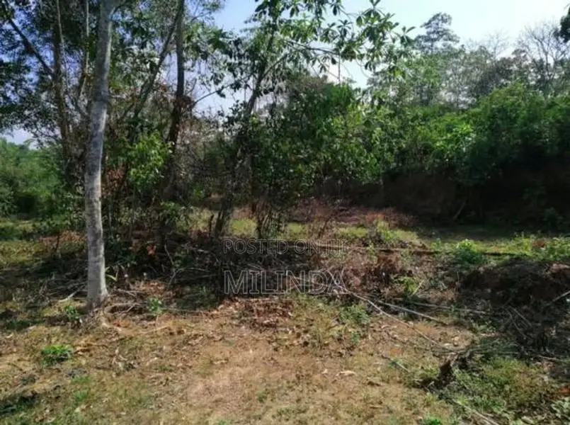 මාතර - කිරිමැටිමුල්ලේ වටිනා නේවාසික ඉඩමක් විකිණීමට