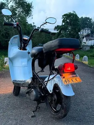 Suzuki Choi Nori 2024